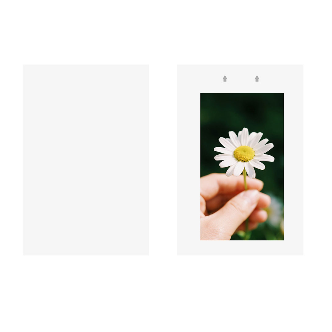 sublimation film (1)